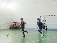 IMG_5388